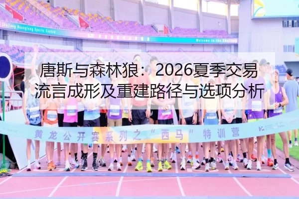 唐斯与森林狼：2026夏季交易流言成形及重建路径与选项分析